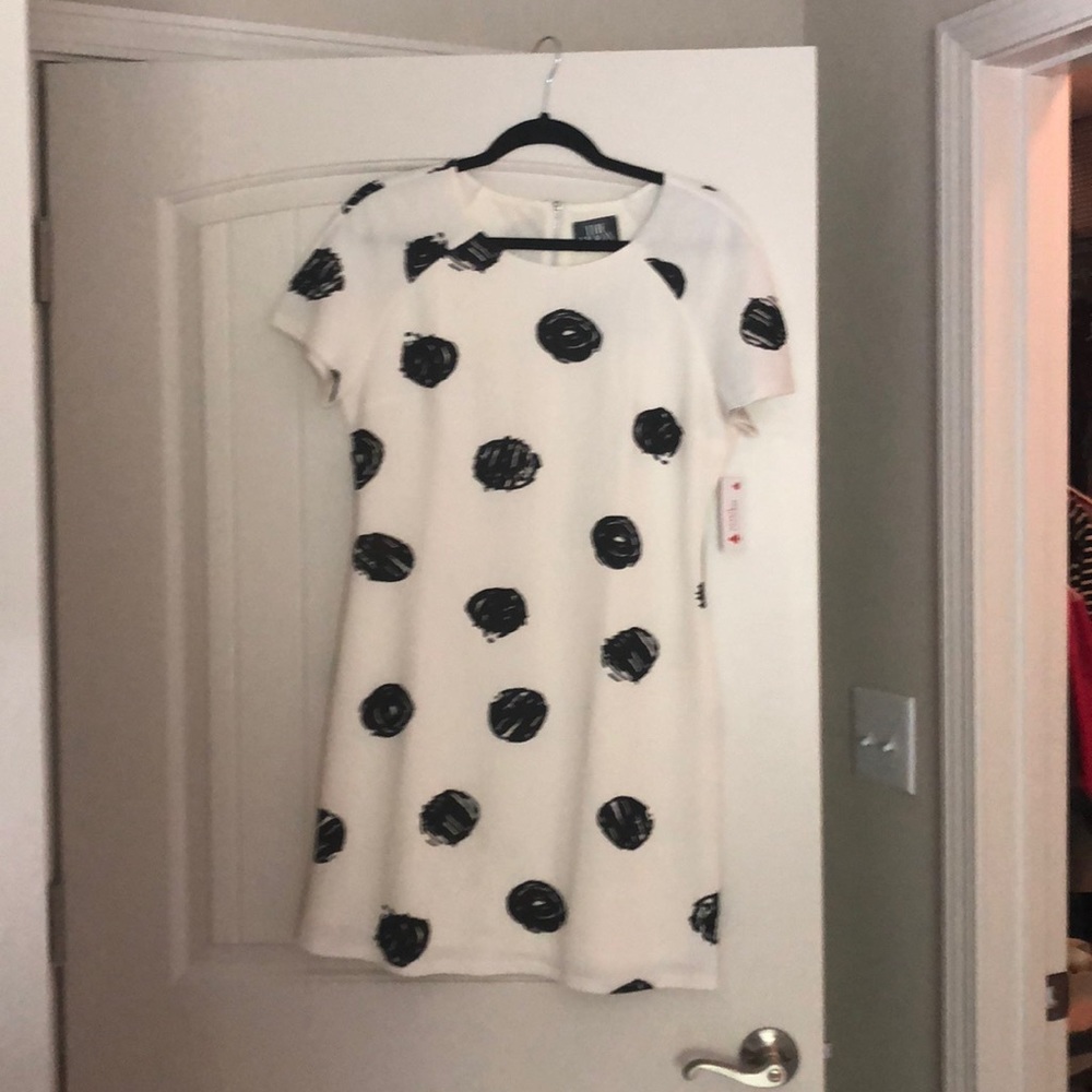 NWT The Moon polka dot dress